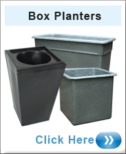 Box Shaped Planters