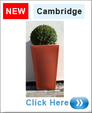 Cambridge Tall Planter - Terracotta