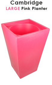 Cambridge Planter In Pink