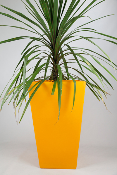 Blooming Marvelous - Cambridge - Yellow Large Planter