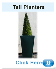 Tall Planters