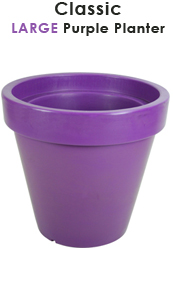 Classic Purple Planter