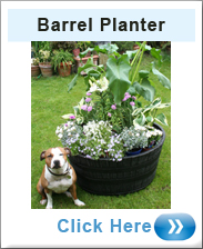 Large Barrel Planter In Dark Brown 