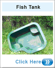 Fish Tank 800 Litres GRP Fibreglass 