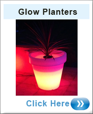Glow Planters