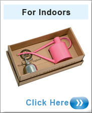Indoor Watering Can Gift In Pink
