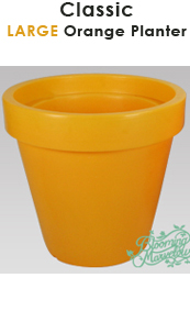 Large Orange Planter