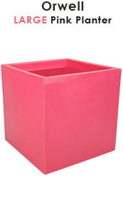 Orwell Pink Planter