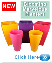 Blooming Marvelous Planters