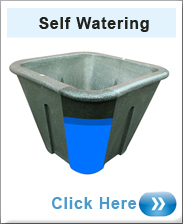 Self Watering Planters 