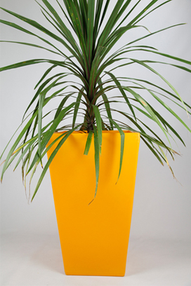 Blooming Marvelous - Cambridge - Yellow Large Planter