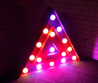 Triangle Garden Light