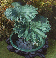 Water Feature Cascade Two leaf Gunnera 