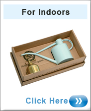 Indoor Watering Can Gift In Duck Egg Blue