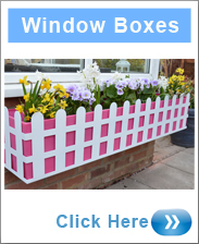 Window Boxes