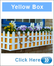 Window Box - Cottage Style In Yellow