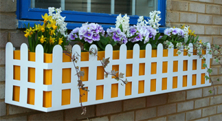 Window Box - Cottage Style In Yellow