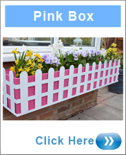 Window Box - Cottage Style In Pink