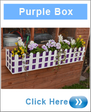 Window Box - Cottage Style In Purple