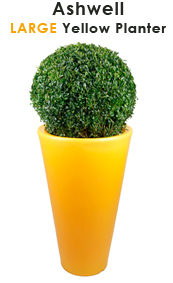 Yellow Planter