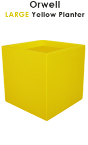 Yellow Planter