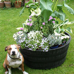 Barrel Garden Planters