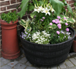 Planter 