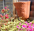 Fairy Wall Planters 
