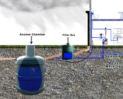 Rainwater Collection 