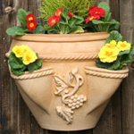 Wall Planters
