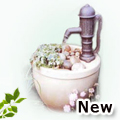 Water Features
